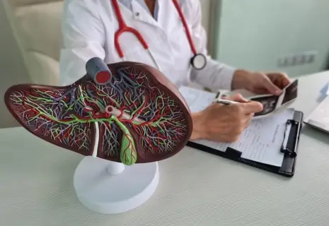 gallbladder and bile duct stones